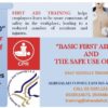 Basic First Aid , CPR, The safe use of AED